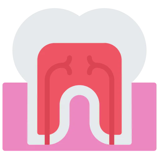 Molar icon