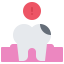 Molar icon 64x64