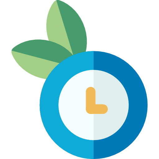 Time icon