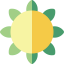 Flower icon 64x64