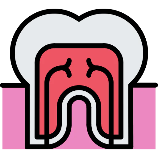 Molar icon