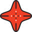 Starfish icon 64x64
