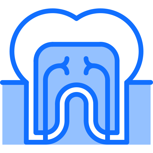 Molar icon