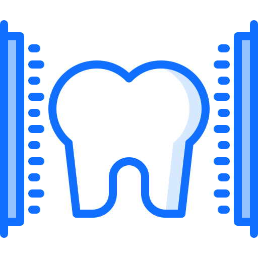 Molar icon