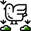 Dove icon 64x64