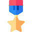 Star medal icon 64x64