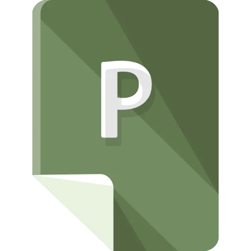 P icon