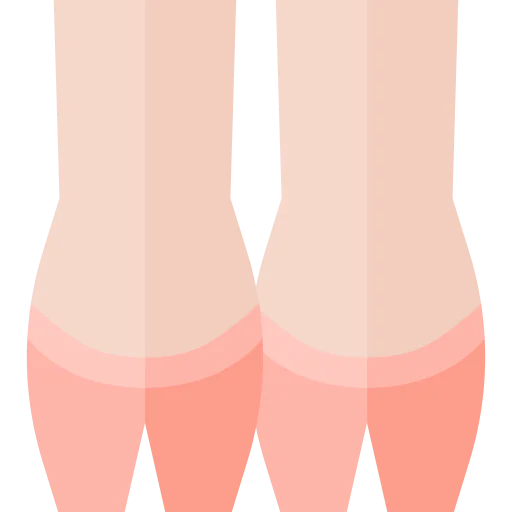 Pig icon