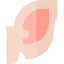 Pig icon 64x64