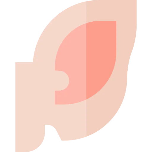 Pig icon