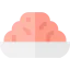 Minced meat ícono 64x64
