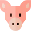 Pig icon 64x64