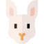 Rabbit icon 64x64