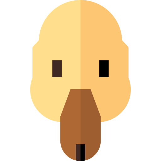 Duck icon