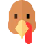 Turkey icon 64x64