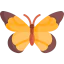 Butterfly icon 64x64
