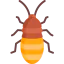 Madagascar hissing cockroach 图标 64x64