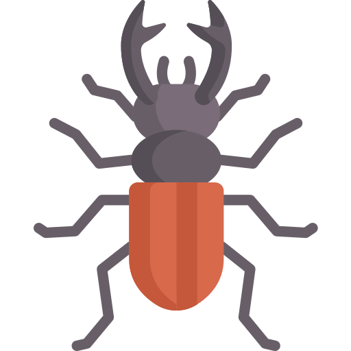Beetle icon