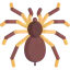 Tarantula icon 64x64