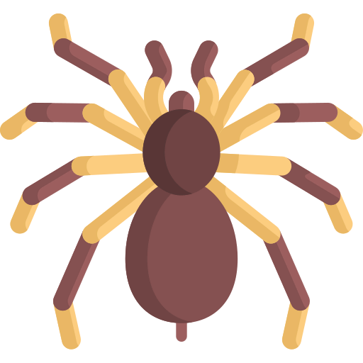 Tarantula icon