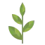 Tea icon 64x64
