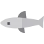 Shark icon 64x64