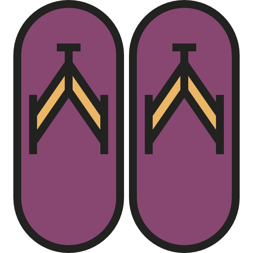 Flip flops icon