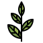 Tea icon 64x64