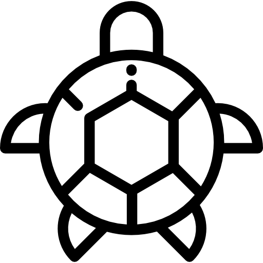 Turtle icon
