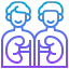 Kidney icon 64x64