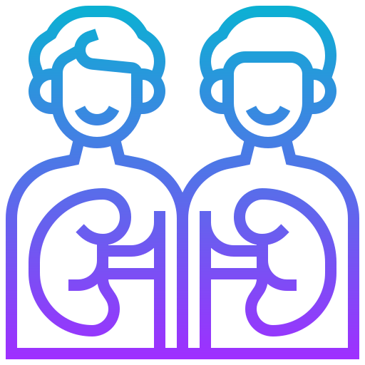 Kidney icon