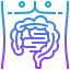 Intestine icon 64x64