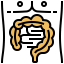 Intestine icon 64x64