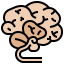 Brain icon 64x64