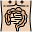 Intestine icon 64x64