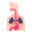 Internal icon 64x64