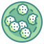Cookie 图标 64x64