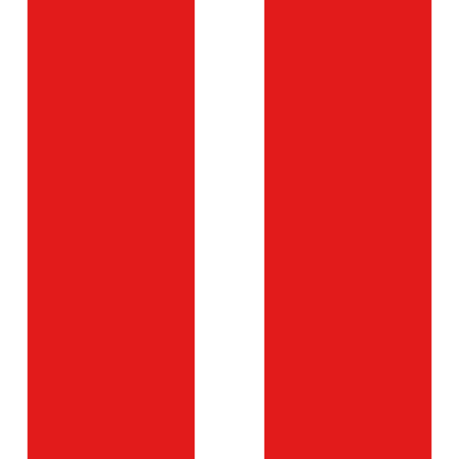 Pause icon