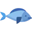 Fish icon 64x64