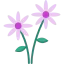 Daisy icon 64x64