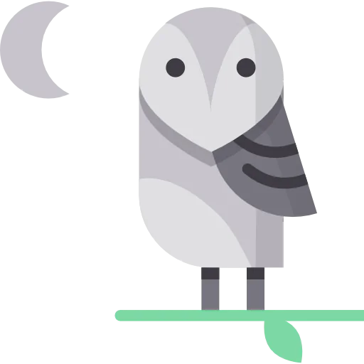 Owl icon