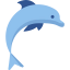 Dolphin icon 64x64