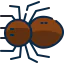 Spider icon 64x64