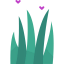 Aloe vera icon 64x64