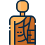 Monk icon 64x64