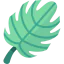 Leaf icon 64x64
