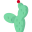Cactus icon 64x64