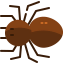 Spider icon 64x64