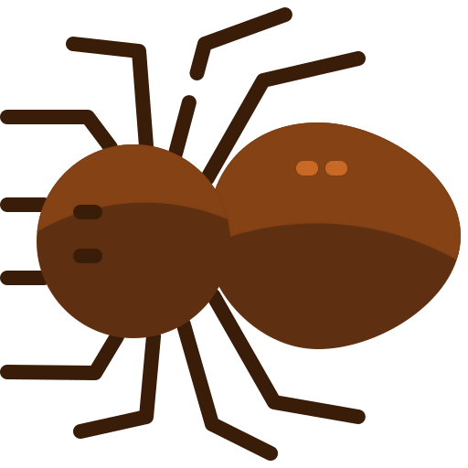 Spider icon