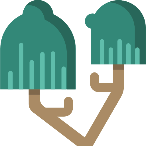 Willow icon